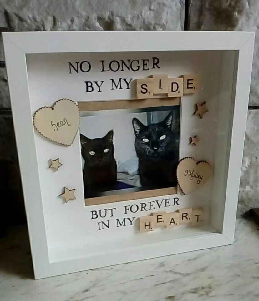 For Pets / Pet Lovers
