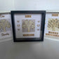 Family Tree Frame