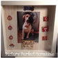 Dog Frame